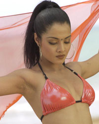 Celina Jaitly